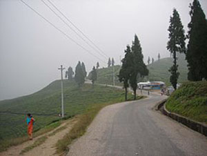 Alternative to Mechi highway to be used in Ilam